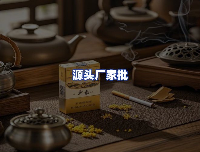 专业团队